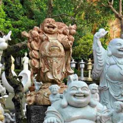 The secrets of learning a new language