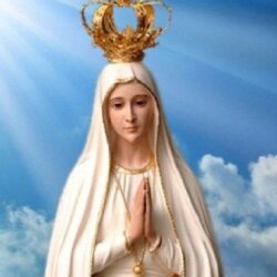 Ngày lễ Đức Mẹ Fatima 2021 – Sự nối kết với lời cầu nguyện chung